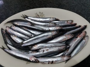 20170610_123157_800x600