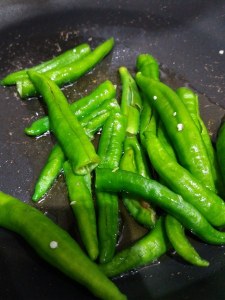 20170708_132749_450x600