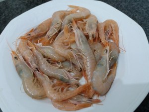 20170722_115104_800x600