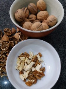 20171007_121831_450x600