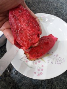 20171007_122136_450x600