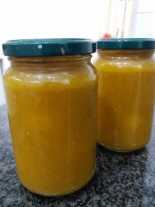 20171014_132509_450x600