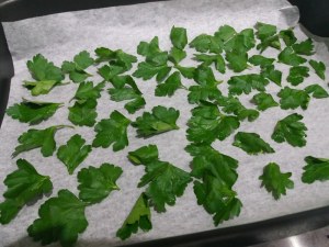 20171110_202214_800x600