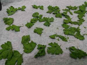 20171110_214702_800x600