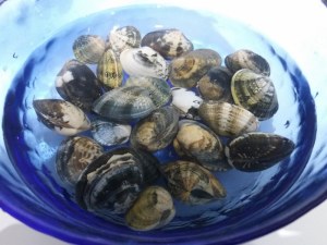 20171111_124131_800x600