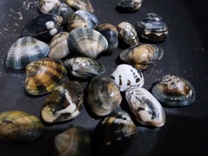 20171111_124932_800x600