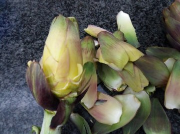 Cous cous allo zafferano con carciofi e salmone