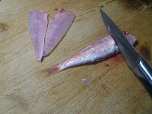 Parmigiana con filetti di triglia e zucchine