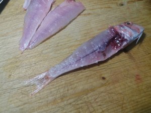 Parmigiana con filetti di triglia e zucchine