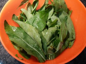 Trancio di pesce spada con friarielli e provola impanato alle nocciole su vellutata di patate e carciofi