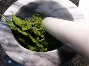 Spaghetti aglio olio e peperoncino con purpu ammuddicato su crema di friarielli