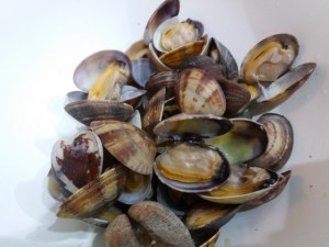 scialatielli ai piselli con vongole e fiori di zucca