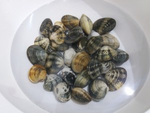 scialatielli ai piselli con vongole e fiori di zucca