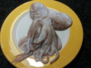 Fusilli al ferretto con pesto di rucola polpo e pomodorini gialli e rossi