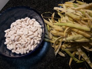 Risotto con spollichini e cannolicchi