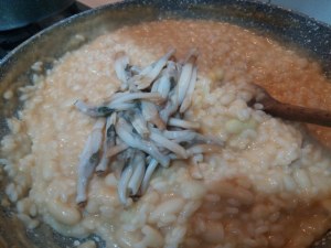 Risotto con spollichini e cannolicchi