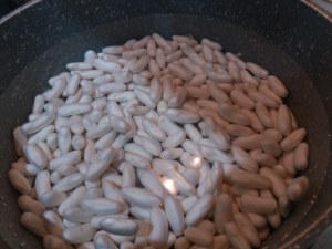 Risotto con spollichini e cannolicchi