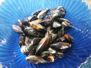 Bombardoni con scorfano e cozze