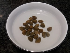 Cous cous vegetariano