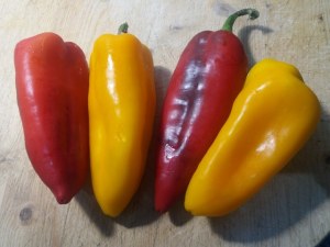 Peperoni ripieni con olive capperi provola ed acciughe di Sciacca