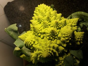 Spaghetti alla chitarra con broccolo romanesco pioppini speck e nocciole