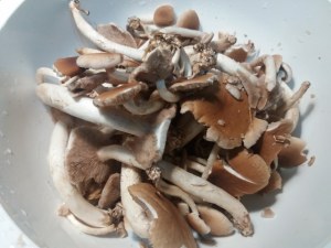 Spaghetti alla chitarra con broccolo romanesco pioppini speck e nocciole