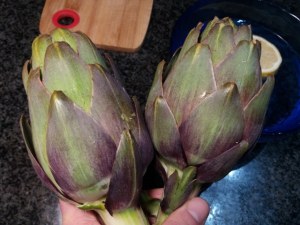 Mezze maniche alla carbonara con carciofi su fonduta di gorgonzola