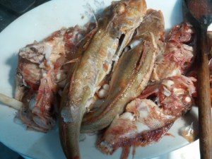 couscousdipesce