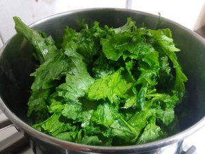 sedani rigati con pesto di friarielli gorgonzola e pomodori confit gialli e rossi