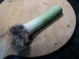Flan di broccoli con porro e polpo fritti