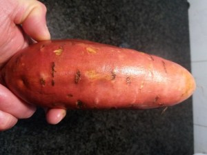 Gnocchi di patate viola con lardo di Pata Negra e carciofi su vellutata di patata americana