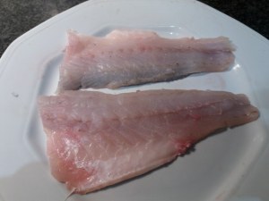 Filetto di spigola in crosta di pistacchi con emulsione al miele di castagno_5