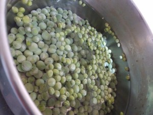 Cous cous di primavera