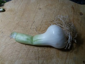 Cous cous di primavera