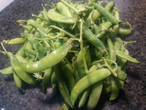 Tagliata di tonno rosso su salsa al curry e crema di piselli freschi