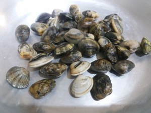Spaghetti alle vongole con crema di piselli freschi