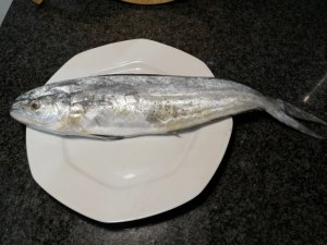 Parmigiana di melanzane e pesce lampuga