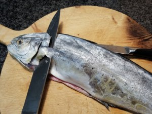 Parmigiana di melanzane e pesce lampuga