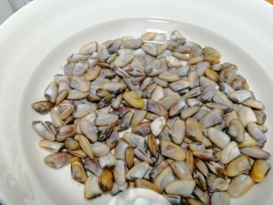 Spaghetti integrali con telline zucchine e tarallo sbriciolato