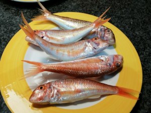 Scaloppine di triglie al vino bianco su vellutata di broccoli e patate