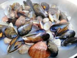 Orecchiette con broccoli e frutti di mare profumate al limone
