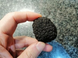 Risotto alla zucca con tartufo nero e caciocavallo