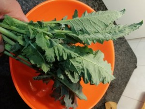 Salmone in crosta di semi di sesamo e di papavero con broccoli di Natale_1