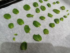 Linguine con pesto di pomodori secchi mazzancolle e menta