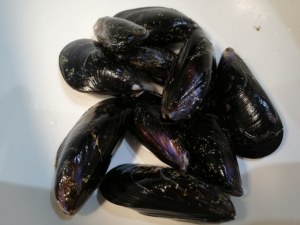 Paccheri ai frutti di mare