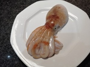 Candele tagliate al ragu di polpo