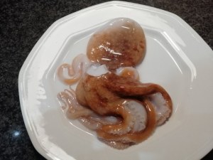 Candele tagliate al ragu di polpo