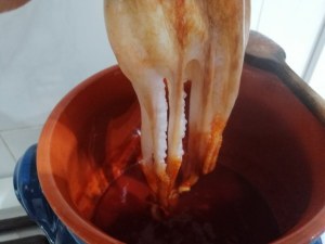 Candele tagliate al ragu di polpo