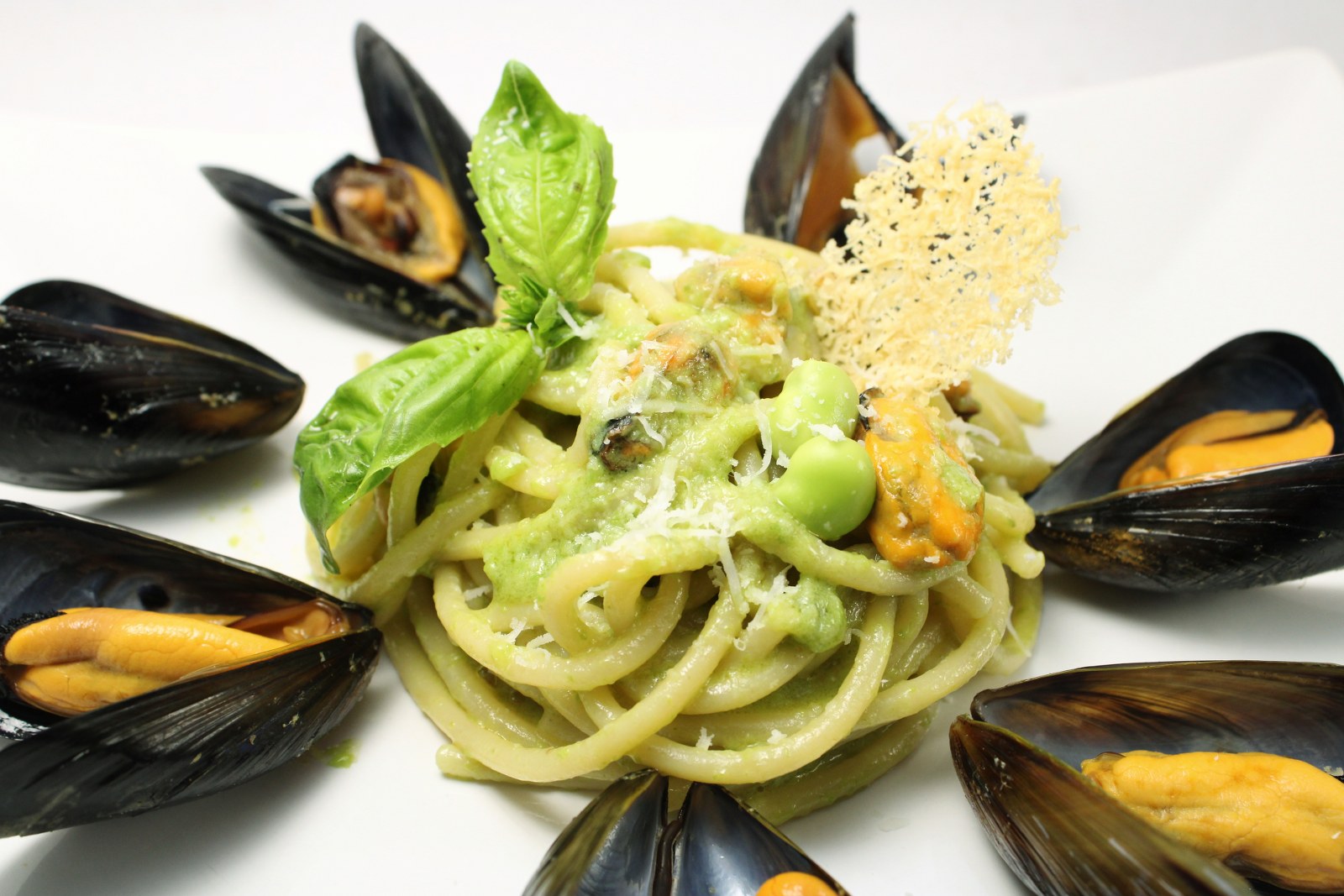 Spaghettone con crema di fave cozze e pecorino