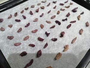 Stoccafisso glassato allo zafferano su vellutata di patate e piselli con terra di olive nere